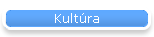 Kultra