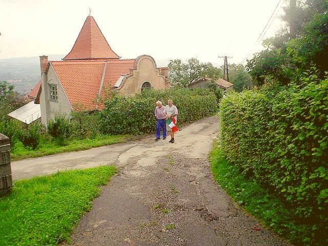 Photograph