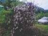 Photo Number 8